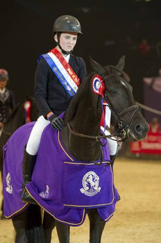 Day Two: Showjumping at HOYS 2015